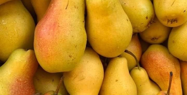 Цього тижня у Голосіївському районі відбудуться продуктові сільськогосподарські ярмарки