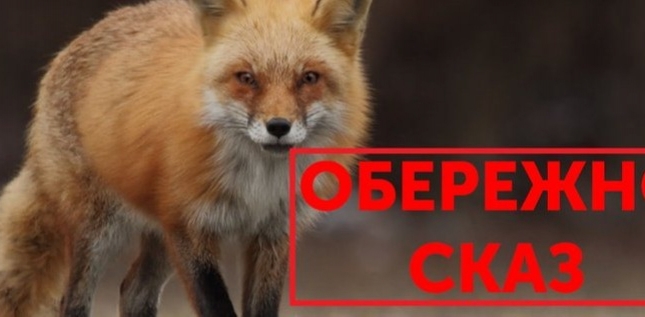 Сказ: ситуація та профілактика