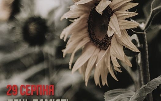 Український інститут національної пам’яті підготував інформаційні матеріали до Дня пам’яті захисників України, які загинули в боротьбі за незалежність, суверенітет і територіальну цілісність України.
